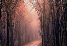 竞技宝官网：莱因克尔：瓜帅在巴萨当球童时向我要球衣我没给，因为只有一件.