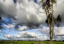 竞技宝官网：后防中坚！萨利巴迎来24岁生日，阿森纳官方晒集锦视频祝福.